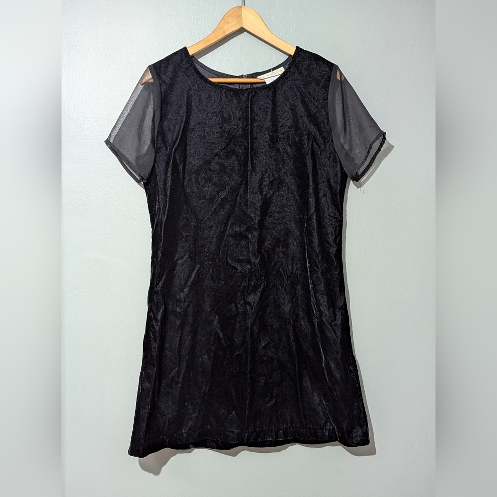 Vintage Country Romance Black Velvet Mini Dress Sheer Short Sleeves 90s Witchy